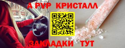 прущие грибы Малгобек