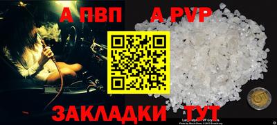 прущие грибы Малгобек